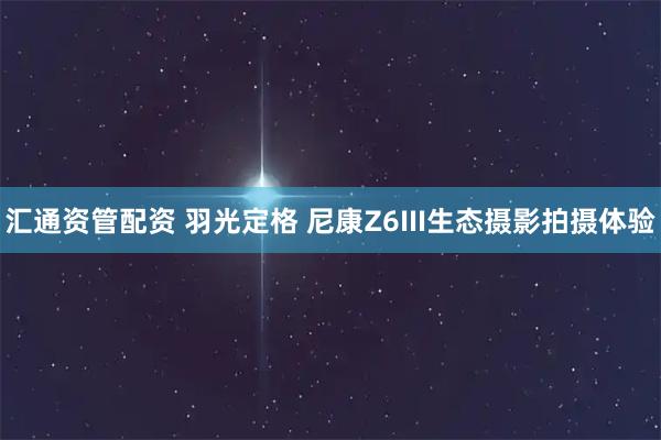 汇通资管配资 羽光定格 尼康Z6III生态摄影拍摄体验