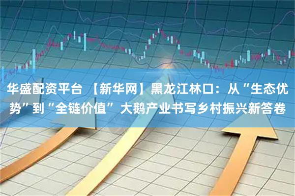 华盛配资平台 【新华网】黑龙江林口：从“生态优势”到“全链价值” 大鹅产业书写乡村振兴新答卷