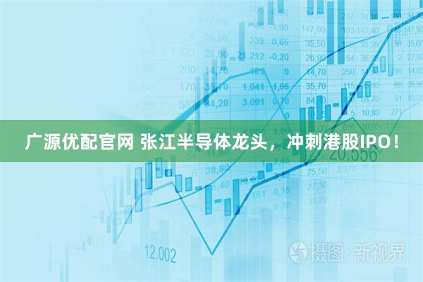 广源优配官网 张江半导体龙头，冲刺港股IPO！