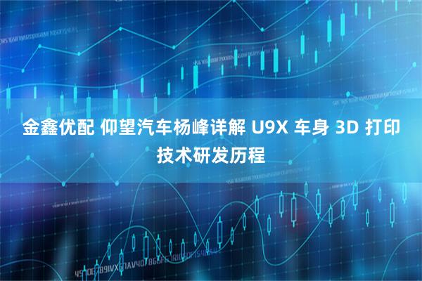 金鑫优配 仰望汽车杨峰详解 U9X 车身 3D 打印技术研发历程