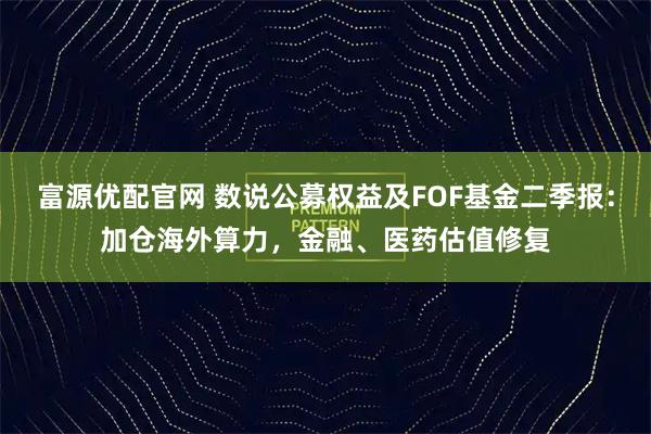 富源优配官网 数说公募权益及FOF基金二季报:加仓海外算力,金融、医药估值修复