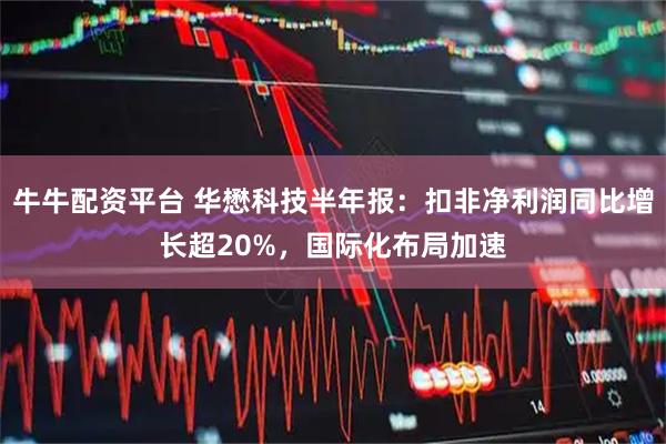 牛牛配资平台 华懋科技半年报：扣非净利润同比增长超20%，国际化布局加速