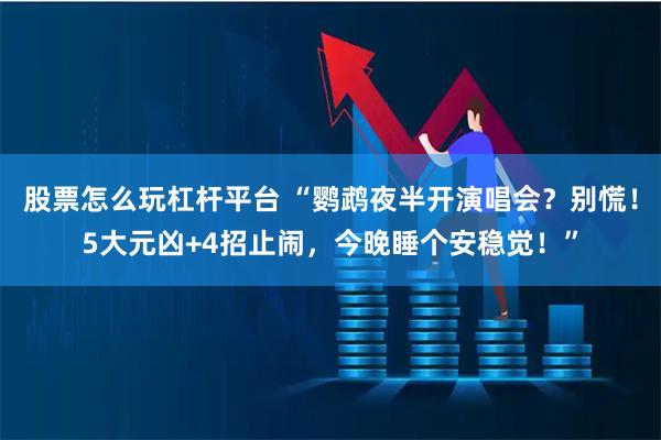股票怎么玩杠杆平台 “鹦鹉夜半开演唱会？别慌！5大元凶+4招止闹，今晚睡个安稳觉！”